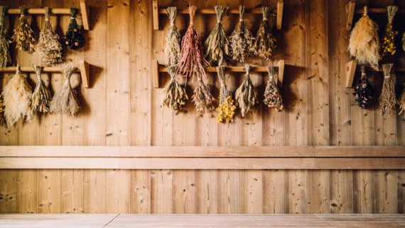 Eine holzverkleidete Saunawand in warmem Licht an der getrocknete Bündel an Kräutern hängen. 