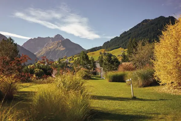 Grüne Wiese mit Bäumen und Bergen im Hintergrund