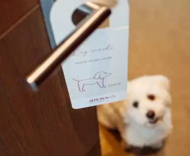 Hinter einer Tür an dessen Klinke ein Hundezimmerschild hängt schaut ein kleiner, weißer Hund hervor. 