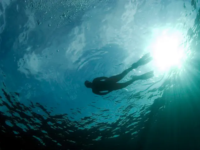 Ein Mensch in Tauchausrüstung schwimmt an der Oberfläche und man sieht die Sonne durch das Wasser scheinen.