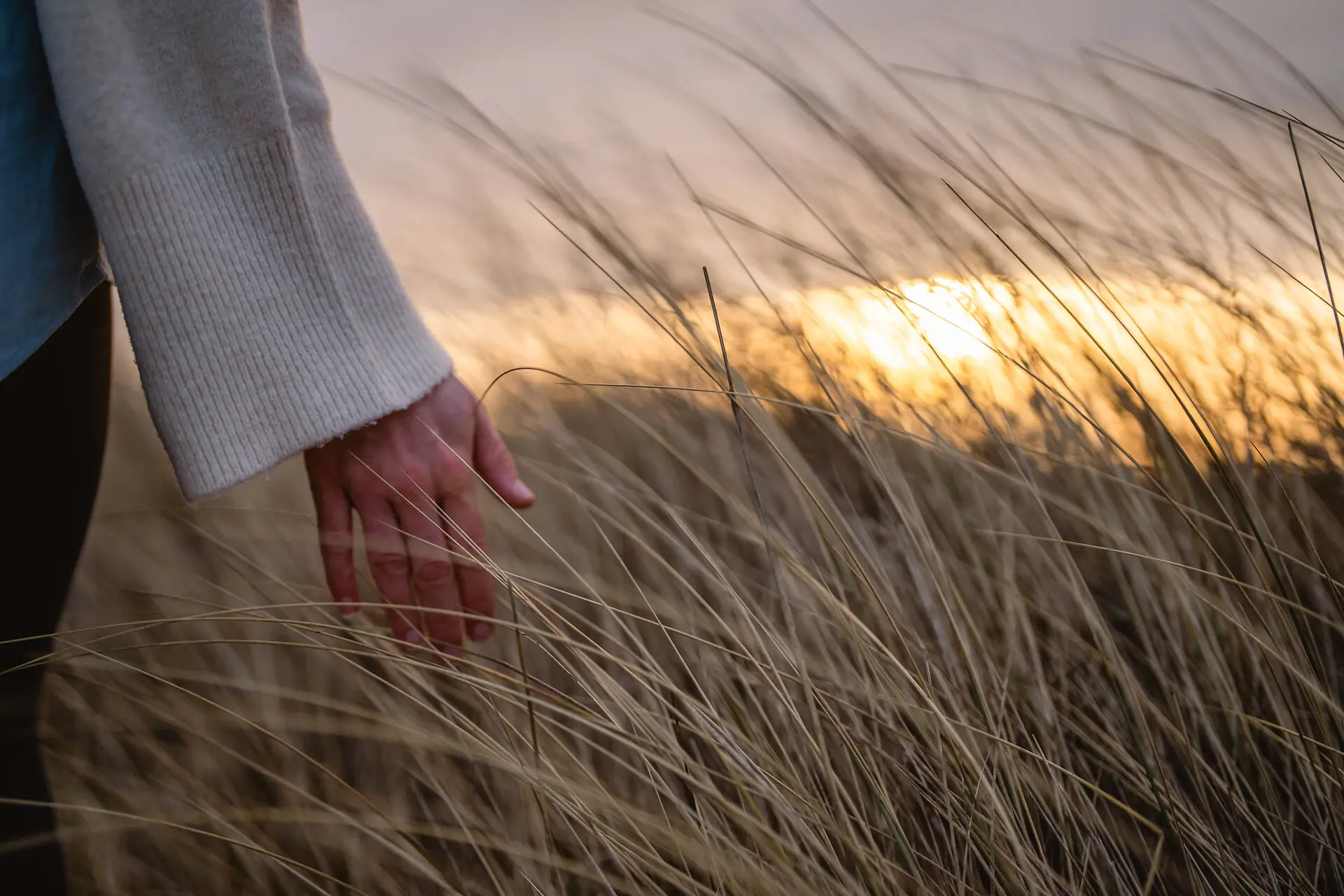 Hand berührt hohes Gras im Freien.