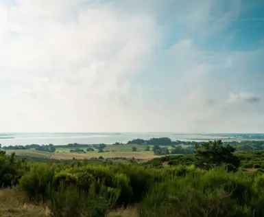 Landschaft mit Gewässer umgeben von Bäumen und Gras.