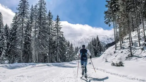 Person beim Langlauf fahren auf einer verschneiten Straße umgeben von Bäumen.