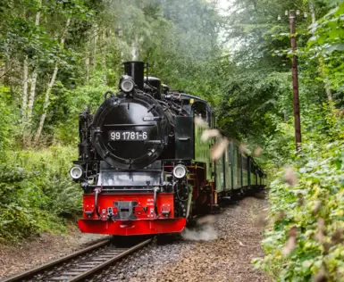 Eine schwarze Lokomotive fährt durch einen Wald.