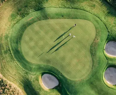 Group of people playing golf on a well-maintained course