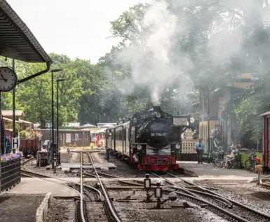 Eine schwarze Dampflokomotive fährt dampfend in einen alten Bahnhof ein.