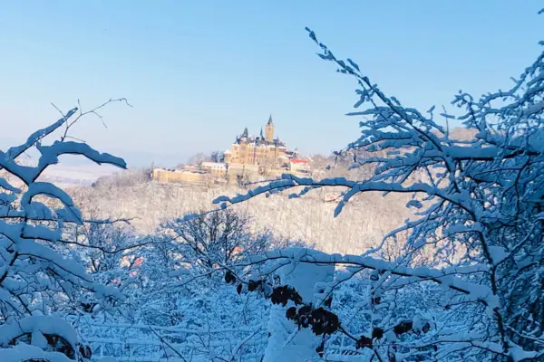 Schloss Wernigerode bei Schnee Verschneite Landschaft mit Bäumen und dem Schloss Wernigerode in der Ferne.