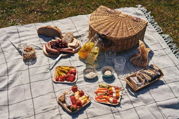 Picknick auf einer karierten Decke im Grünen mit gefülltem Picknickkorb, Brot, Käse, Wurst, frischem Gemüse, Obstspießen, Dips, Limonade und Gläsern.