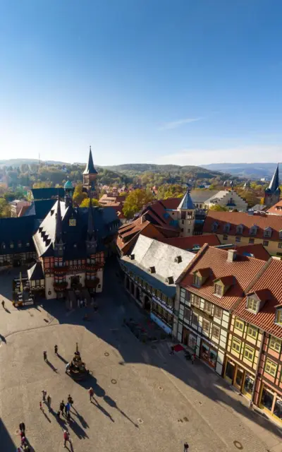 Das Eingangstor zum Gotischen Haus Wernigerode in altem Mauerwerk und mit einem Ausschnitt eines Baumes davor. 