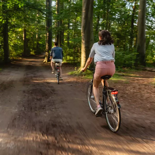 Ein Paar fährt auf Fahrrädern entlang eines Waldweges. Die Sonne scheint durch die Bäume und taucht die Szene in warmes Sommerlicht. 