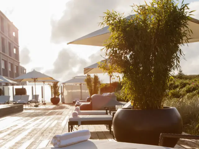 Außenbereich des SPA-ROSA Sylt mit Liegen zum entspannen, Sonnenschirmen und dekorativen Pflanzen. 