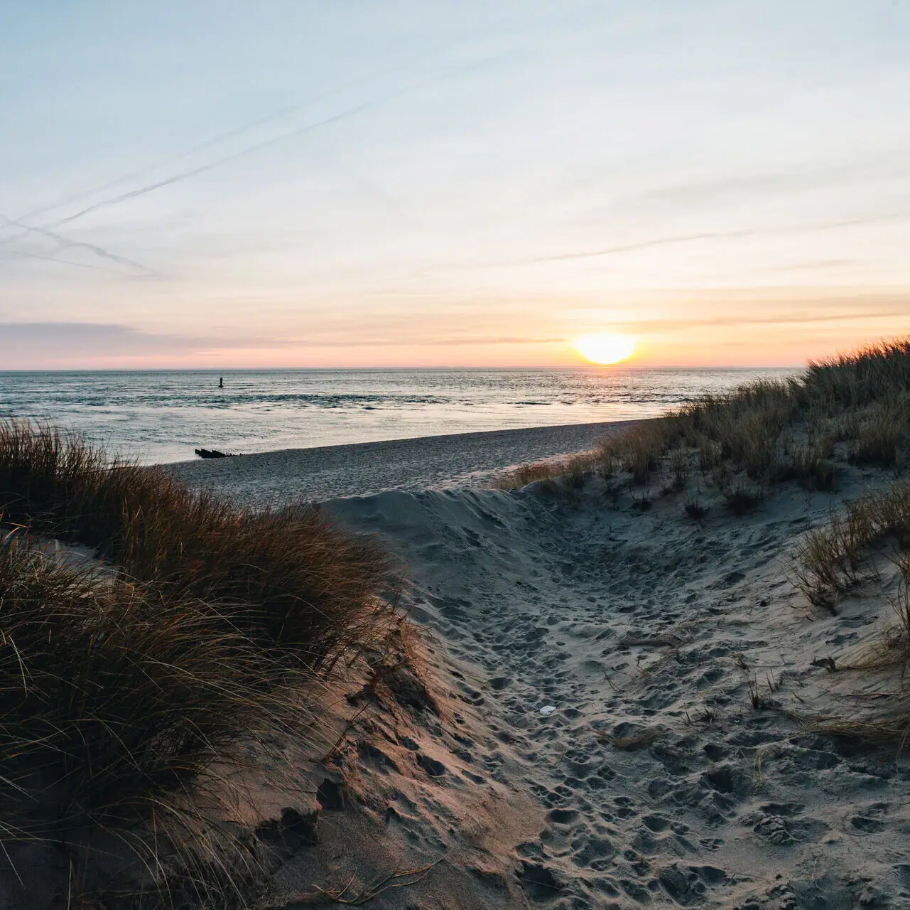 Ein sandiger Weg mit Gras und einem Sonnenuntergang über dem Wasser.