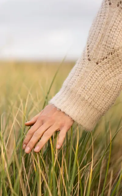 Eine Frauenhand gleitet über hohes Gras. 