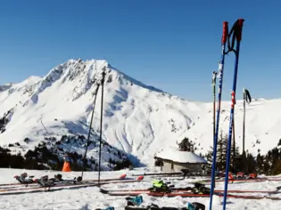 Zwei Radfahrer fahren auf einem schmalen Pfad entlang eines Bergsees in den Kitzbüheler Alpen. Die Sonne scheint durch die Bäume.