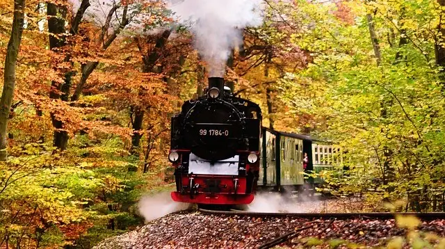 Rasender Roland in Binz im Herbst auf der Insel Rügen.