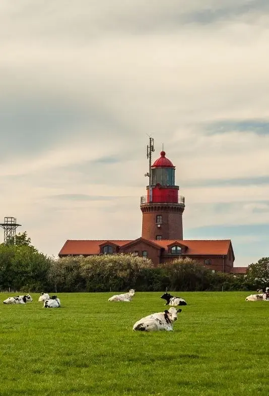 Das A-ROSA Collection Ceres am Meer mit einer Flagge auf dem Dach unter blauem Himmel mit Wolken.