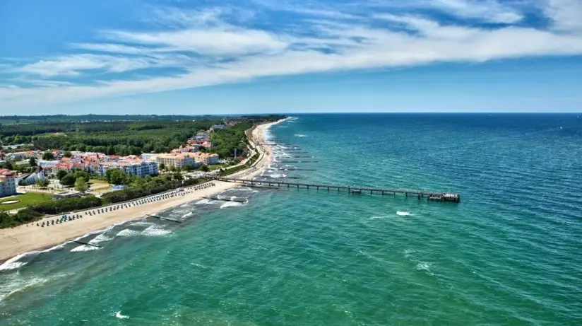 Strand mit Bäumen und Wasser.