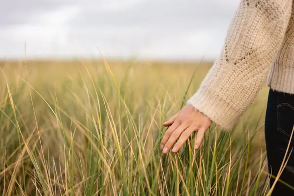 Eine Hand berührt hohes Gras.