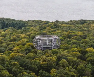 Struktur im Wald umgeben von Bäumen und Pflanzen.