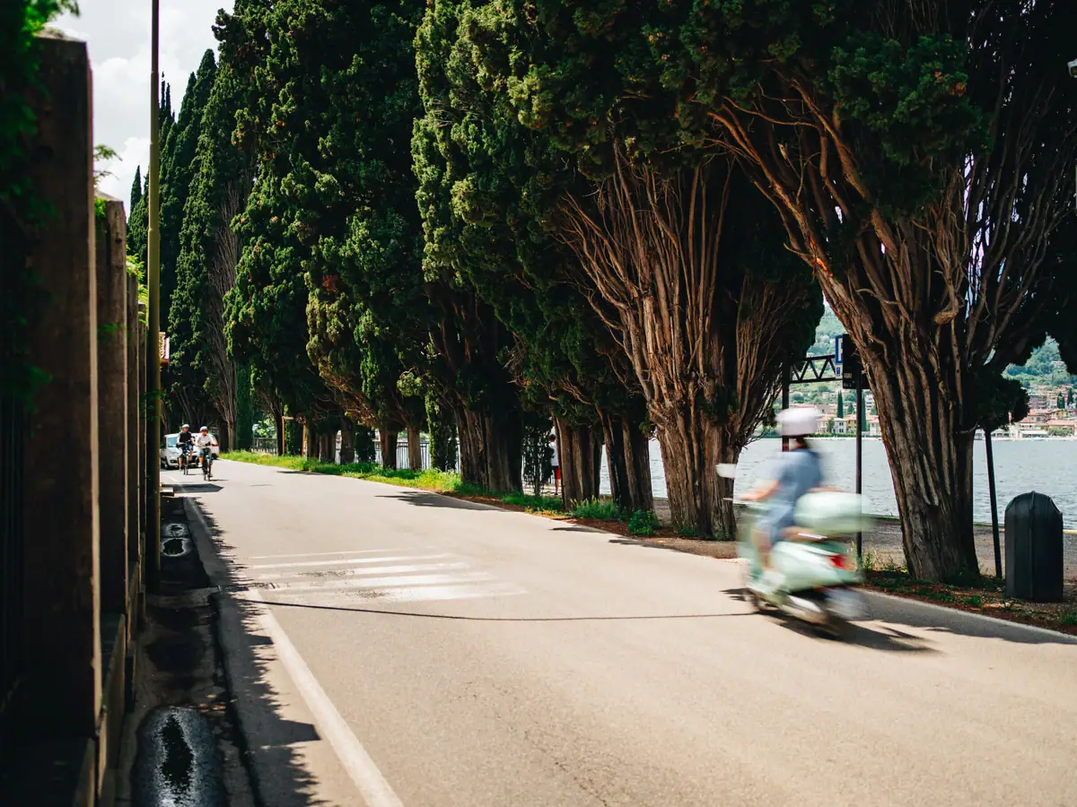 Vespa-Tour am Gardasee Person fährt auf einer Vespa entlang einer von Bäumen gesäumten Straße direkt am Gardasee