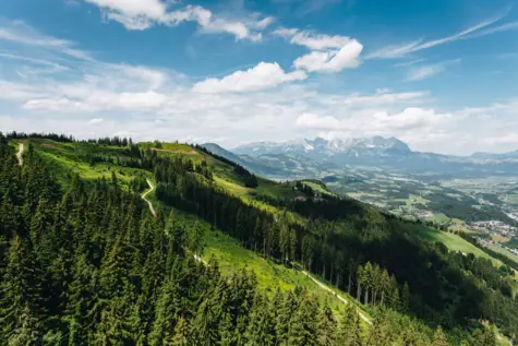 Straße, die sich durch eine bergige Landschaft mit Bäumen und Gras schlängelt.