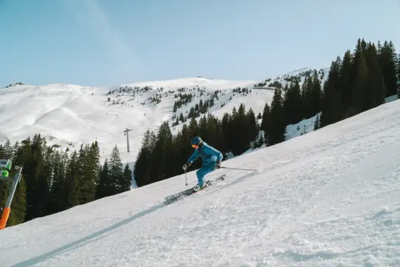 Eine Person auf Skiern fährt einen Hang schnell hinter. Im Hintergrund erstrecken sich schneebedeckte Wälder und Berge. 