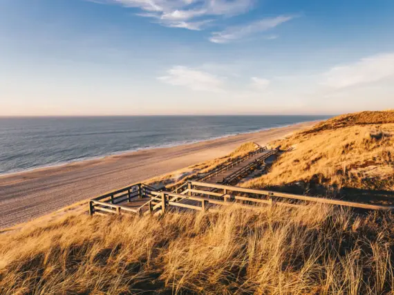 Eine in warme Farben getauchte Dünenlandschaft durch die ein Holzweg führt. Auch der angrenzende Strand und die Ostsee sind von der Sonne in warme, ruhige Farben getaucht. 