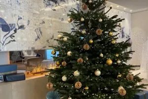 Tegernsee Weihanchten Weihnachtsbaum mit Geschenken