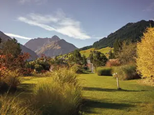 Herbstliche Landschaft mit einer Wiese, Bäumen und Bergen im Hintergrund.