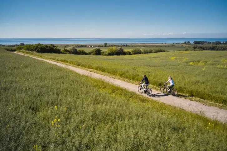 Personen fahren auf einem Fahrradweg durch eine Wiese.