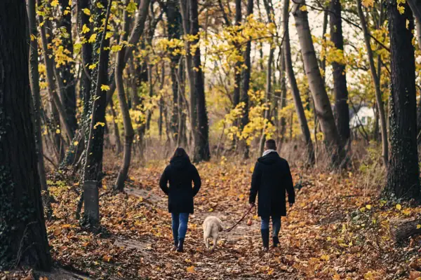 Ein Paar spaziert mit einem Hund durch einen herbstlichen Wald.