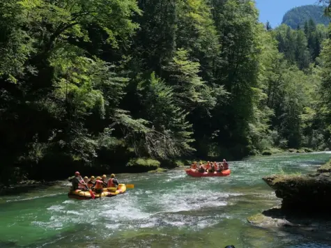 Gruppe von Personen auf Schlauchbooten auf einem Fluss umgeben von Bäumen.