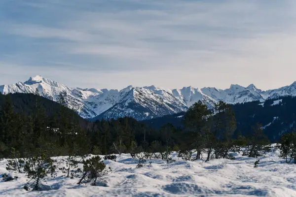 Verschneite Landschaft mit Bäumen und Bergen im Hintergrund