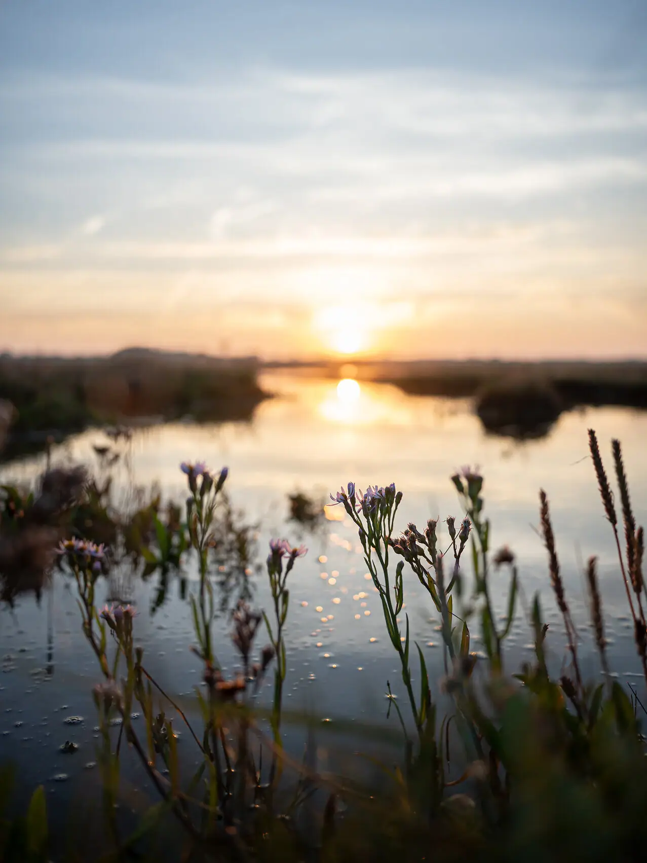 Sonnenuntergang über einem Gewässer mit Wolken am Himmel.