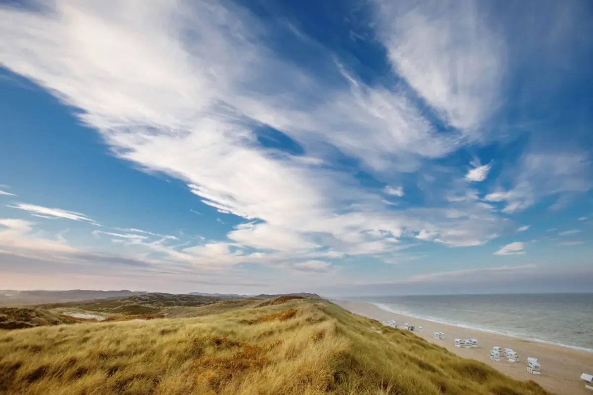 Grüne Wiese mit Sonnenschirmen und Strand im Hintergrund