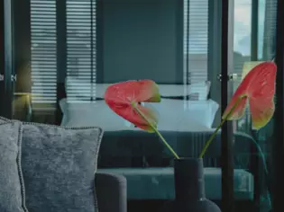 Das Bild zeigt eine Nahaufnahme von zwei auffälligen roten Anthurien, die aus einer dunklen Vase auf einem Tisch ragen. Die Pflanzen bilden einen farbigen Akzent vor dem verschwommenen Hintergrund eines eleganten Schlafzimmers. 