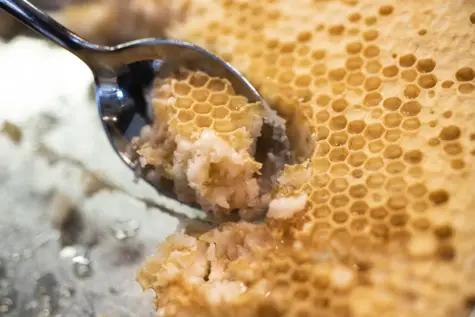 Löffel mit Honigwabe