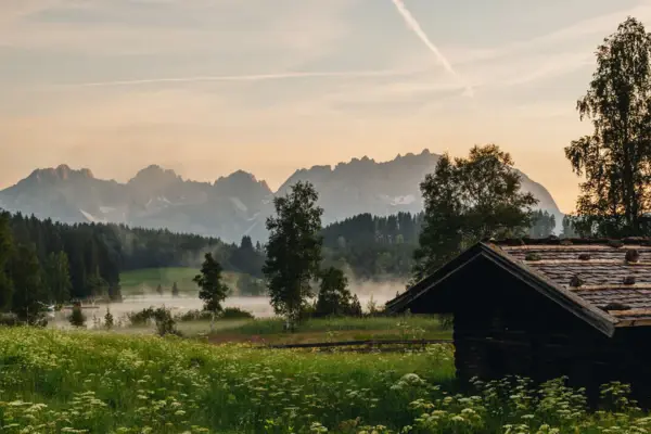 Eine Hütte in einem Feld voller Blumen, umgeben von Gras, Bäumen und einem klaren Himmel.