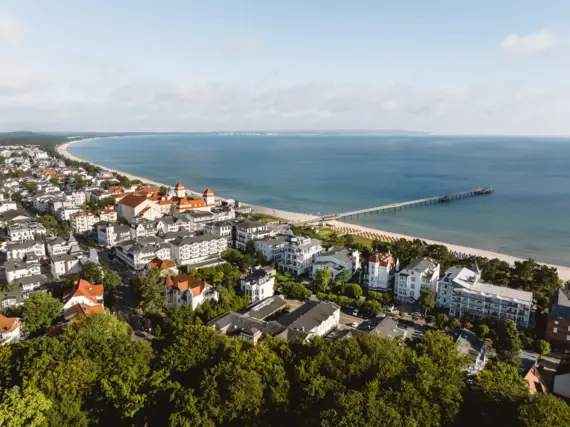 Stadt am Wasser mit Bäumen und Gebäuden, aufgenommen aus der Luft.