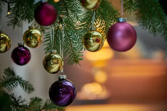 The picture shows a close-up of sparkling Christmas baubles in shades of gold and purple hanging from a fir branch. The reflections in the baubles capture the surroundings and create a vibrant, festive image. Soft, warm light can be seen in the background, creating a cozy, inviting atmosphere. This picture embodies the festive spirit and elegance of the Christmas season and is perfect for depicting holiday cheer in an elegant interior.