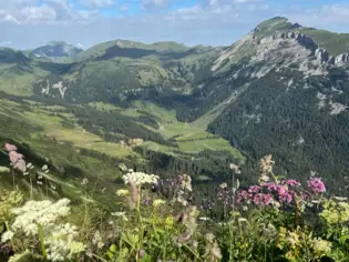 Berglandschaft mit Blumen und Bäumen.