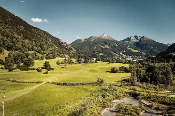 Grünes Feld mit Bäumen und Bergen im Hintergrund.