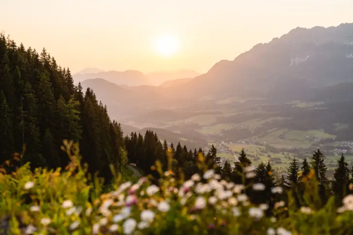 Ein Blick von einer Blumenwiese in die umliegenden berge bei Sonnenaufgang. 