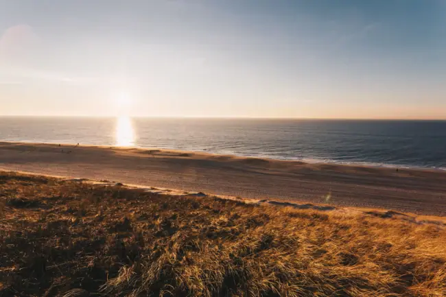A-ROSA Sylt Strand Strand mit Gras und Wasser bei ruhigem Himmel und Horizont.