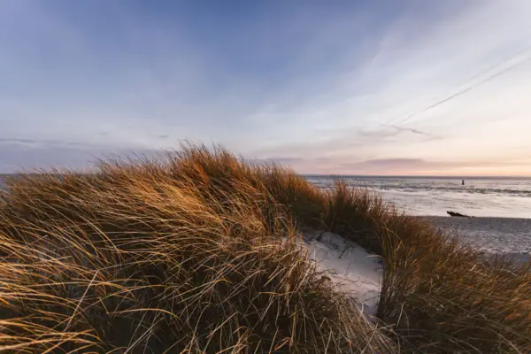 Eine Dünenlandschaft mit dem Meer und einem schönen Strand auf Sylt.