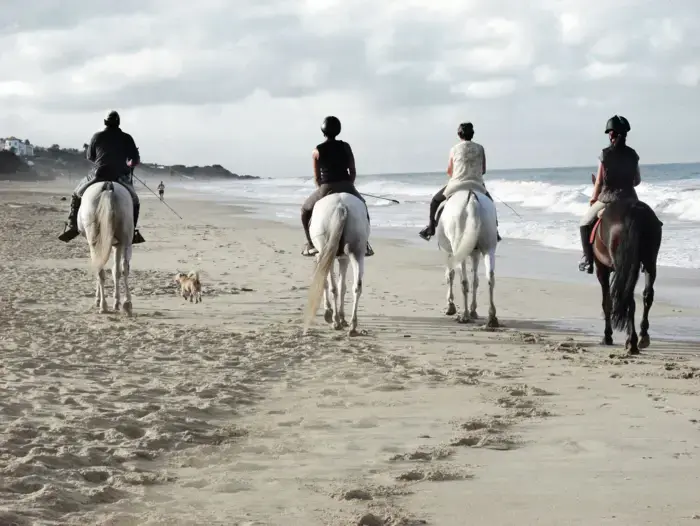Personen reiten auf Pferden am Strand.