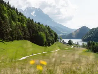 Eine grüne, hügelige Landschaft, durch die ein Weg führt mit zwei Fahrradfahrern.Im Hintergrund sind mit Tannen bewachsene Berge und ein See zu sehen.