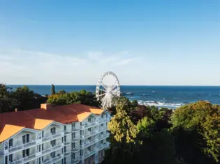 Riesenrad neben Bäumen und Wasser im Freien