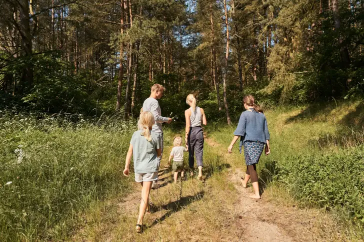 Gruppe von Personen beim Wandern auf einem Waldweg.