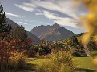 Autumn landscape with a mountain in the background, covered by clouds, surrounded by grassy fields and scattered trees.